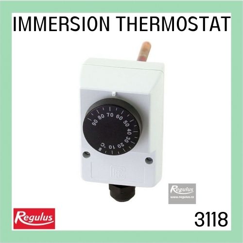 Immersion thermostats