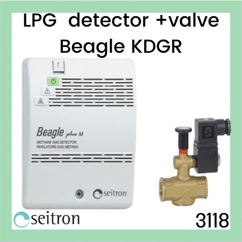 gas detector and gas valve