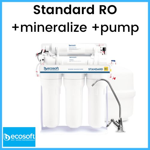 ECOSOFT STANDARD REVERSE OSMOSIS FILTER WITH MINERALIZATION AND PUMP